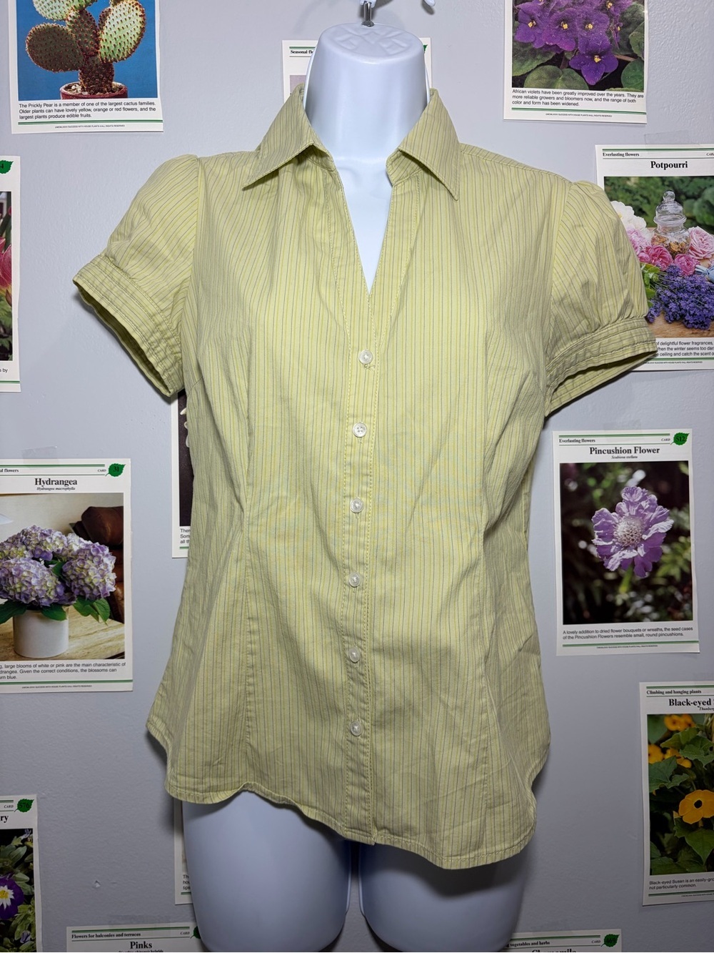 Women's Light green Striped Button-Up Shirt